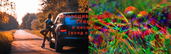 синтетический гашиш Михайлов